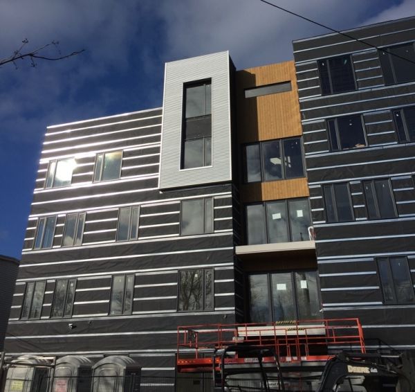 VaproShield RevealShield IT Black 59