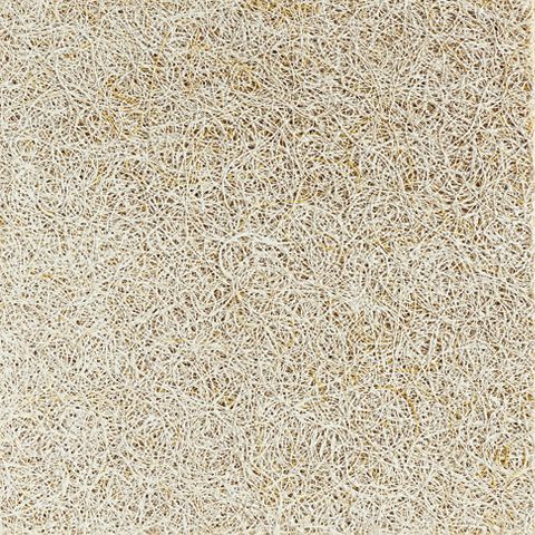 Tectum 1" 2' x 4' Lay-in Ceiling Tile Natural